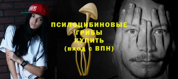 дживик Нягань