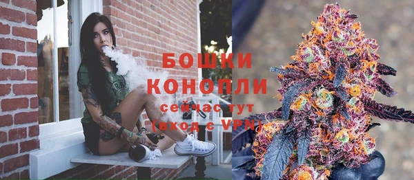 дживик Нягань