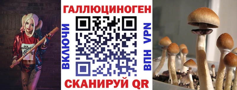 Псилоцибиновые грибы MAGIC MUSHROOMS  Купить  Кадников 